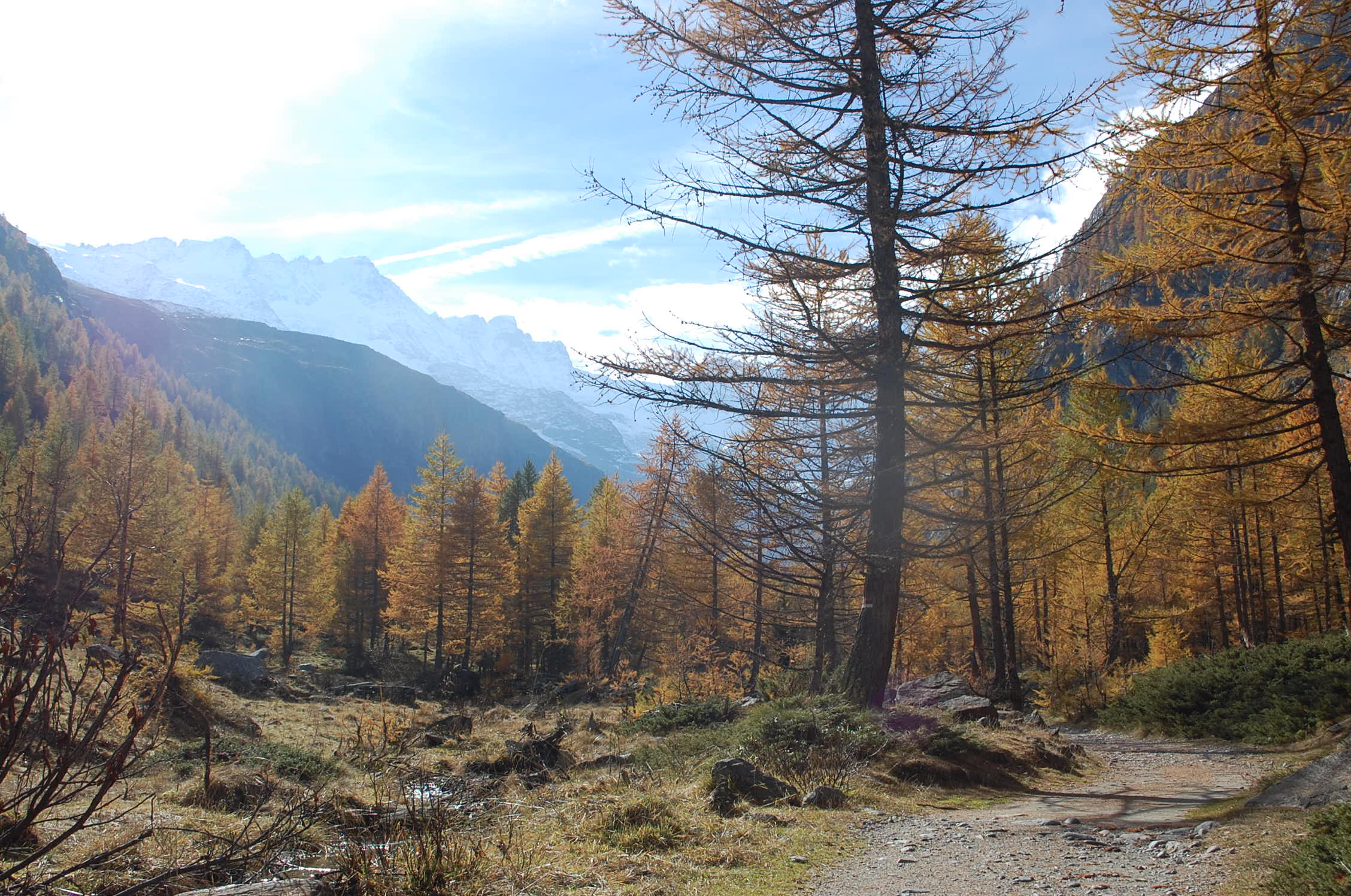 AUTUNNO