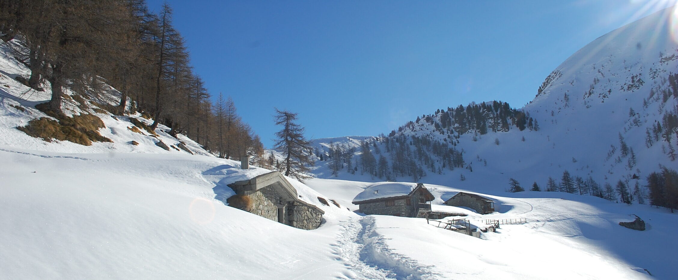 Alps and Trekking