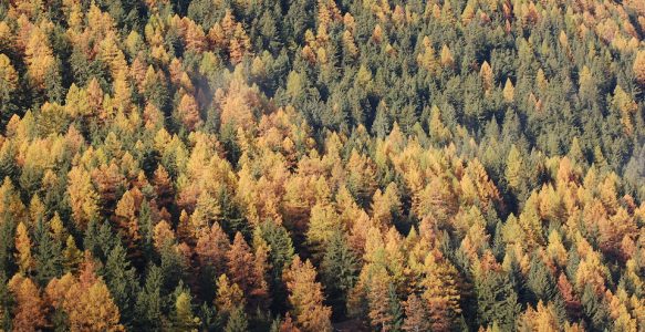 Autunno