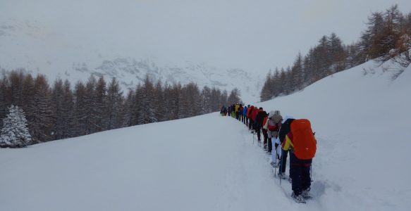 Un Bosco da fiaba sotto la Luna