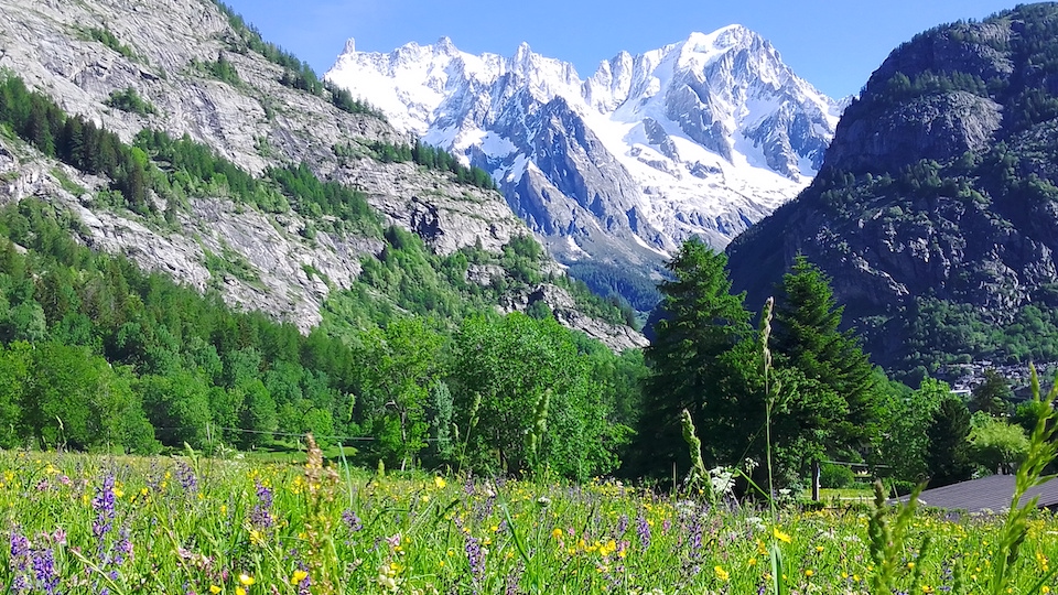 Alps and Trekking