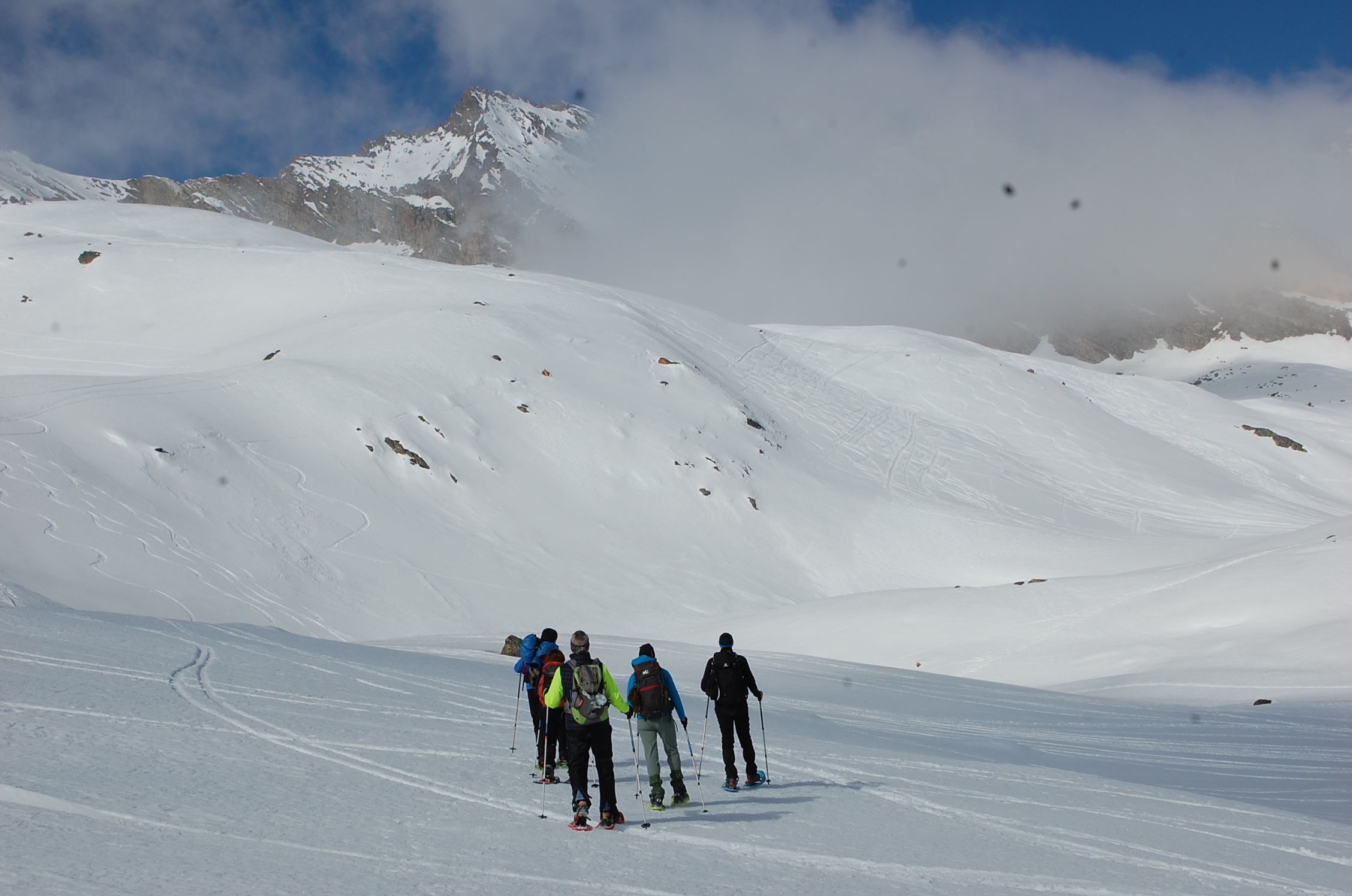 Alps and Trekking